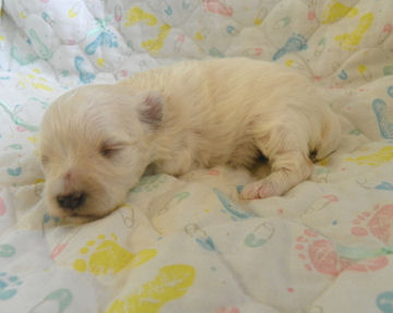 click on me to go to my page