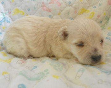 click here to go to my my