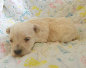 click here to go to my my