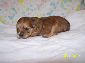 click here to see me grow